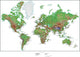 Topographical World Map Wall Mural
