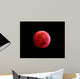Total Lunar Eclipse Taken Wall Decal