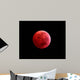 Total Lunar Eclipse Taken Wall Decal