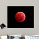 Total Lunar Eclipse Taken Wall Decal