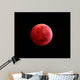 Total Lunar Eclipse Taken Wall Decal