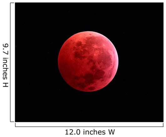 Total Lunar Eclipse Taken Wall Decal