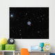 Owl Nebula Planetary Nebula Wall Decal