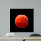 Lunar Eclipse Taken April Wall Decal