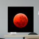 Lunar Eclipse Taken April Wall Decal