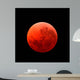 Lunar Eclipse Taken April Wall Decal