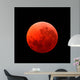 Lunar Eclipse Taken April Wall Decal