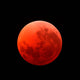 Lunar Eclipse Taken April Wall Decal