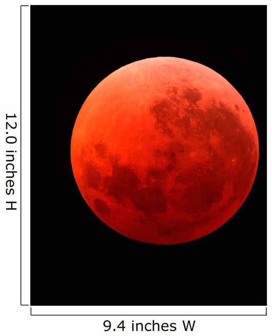 Lunar Eclipse Taken April Wall Decal