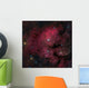 Young Star-forming Complex Ngc Wall Mural