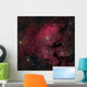 Young Star-forming Complex Ngc Wall Mural