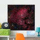 Young Star-forming Complex Ngc Wall Decal Design 2