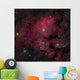 Young Star-forming Complex Ngc Wall Decal Design 2