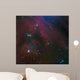 Waterfall Nebula Wall Decal