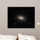 Sombrero Galaxy Wall Decal