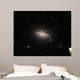 Sombrero Galaxy Wall Decal