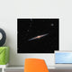 Spiral Galaxy Ngc 4565 Wall Decal