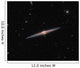 Spiral Galaxy Ngc 4565 Wall Decal