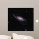 Messier 106 Seyfert Ii Wall Decal