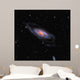 Messier 106 Seyfert Ii Wall Decal