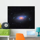 Sunflower Galaxy Messier 63 Wall Decal