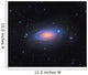 Sunflower Galaxy Messier 63 Wall Decal