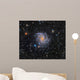 Ngc 6946 Fireworks Galaxy Wall Decal