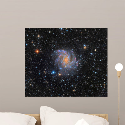 Ngc 6946 Fireworks Galaxy Wall Decal shown on a wall