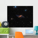 Ngc 660 Polar Ring Wall Decal