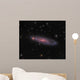 Ngc 247 Galaxy Constellation Wall Decal