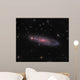 Ngc 247 Galaxy Constellation Wall Decal