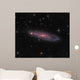 Ngc 247 Galaxy Constellation Wall Decal