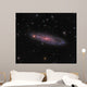 Ngc 247 Galaxy Constellation Wall Decal