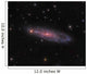 Ngc 247 Galaxy Constellation Wall Decal