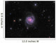 Intermediate Spiral Galaxy Messier Wall Decal
