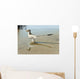 Bambiraptor Feinbergi Standing Shallow Wall Decal