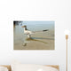 Bambiraptor Feinbergi Standing Shallow Wall Decal
