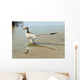 Bambiraptor Feinbergi Standing Shallow Wall Decal