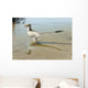 Bambiraptor Feinbergi Standing Shallow Wall Decal