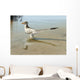 Bambiraptor Feinbergi Standing Shallow Wall Decal