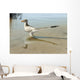 Bambiraptor Feinbergi Standing Shallow Wall Decal