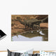 Apatosaurus Dinosaurs Drinking Water Wall Decal