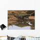 Apatosaurus Dinosaurs Drinking Water Wall Decal