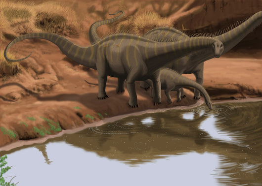 Apatosaurus Dinosaurs Drinking Water Wall Decal
