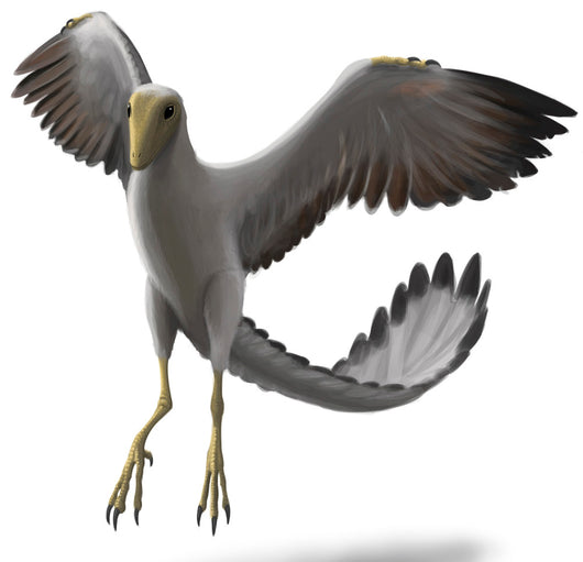 Archaeopteryx with Wings Spread Wall Decal