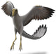 Archaeopteryx with Wings Spread Wall Decal