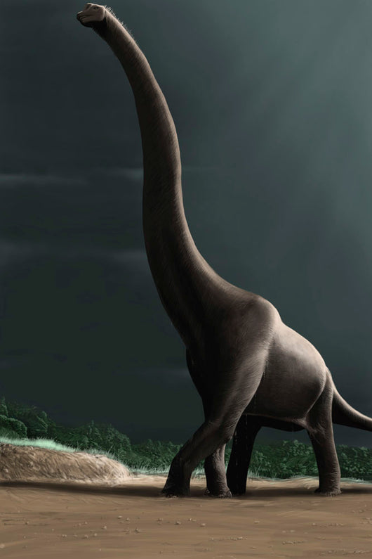 Brachiosaurus Prehistoric Landscape Wall Decal