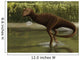 Carnotaurus Searching for Food Wall Decal