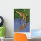 Hypsilophodon Drinking Water from Wall Decal
