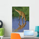 Hypsilophodon Drinking Water from Wall Decal